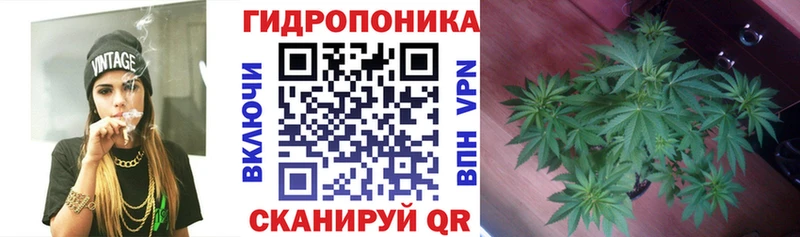 APVP Новокузнецк