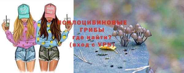 прущие грибы Вяземский