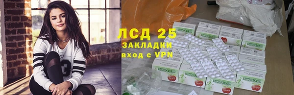 прущие грибы Вяземский