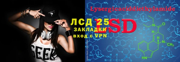 прущие грибы Вяземский