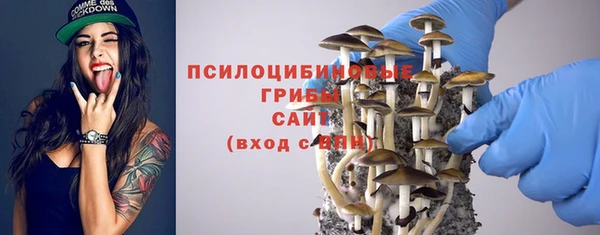 герыч Горнозаводск