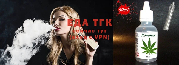 стафф Вязьма