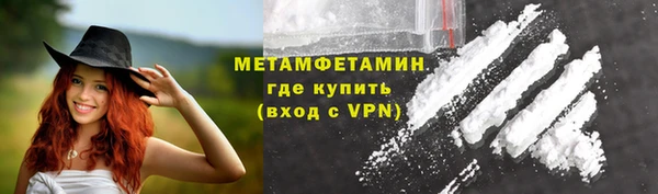 прущие грибы Вяземский
