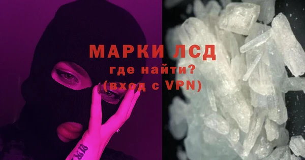 стафф Вязьма