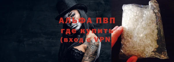 прущие грибы Вяземский