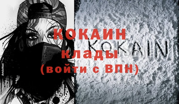 прущие грибы Вяземский