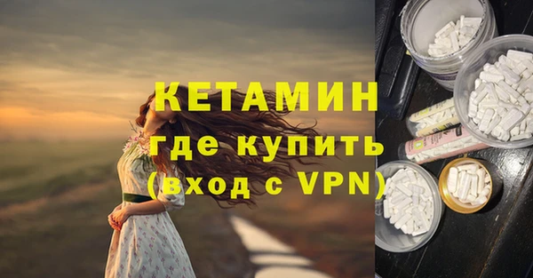 прущие грибы Вяземский