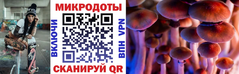 hydra ONION  Новокузнецк  Псилоцибиновые грибы Magic Shrooms 